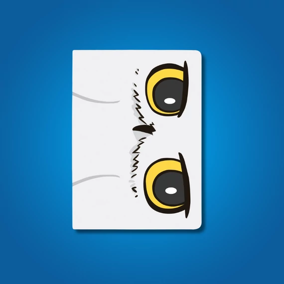 Harry Potter Hedwig jegyzetfüzet