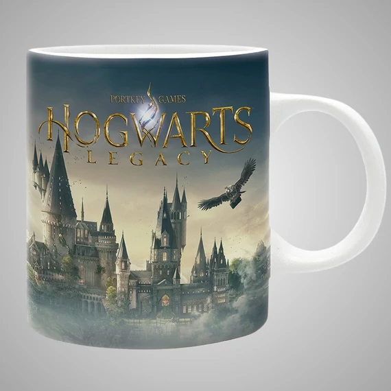 Harry Potter Hogwarts Legacy bögre