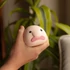 Kép 1/5 - Blob fish bluggyhal stresszlabda
