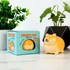 Kép 1/4 - Corgi formájú stresszlabda