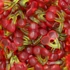 Kép 3/3 - Haribo Happy Cherries gyümölcsízű gumicukorka 100g