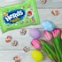 Kép 1/4 - Nerds Gummy Clusters Hoppin limitált húsvéti rágós gumicukor családi kiszerelés 226g