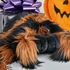 Kép 3/5 - Óriás tarantula plüss 