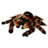 Kép 4/5 - Óriás tarantula plüss 