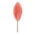 Kép 2/6 - Vagina formájú nyalóka 45g